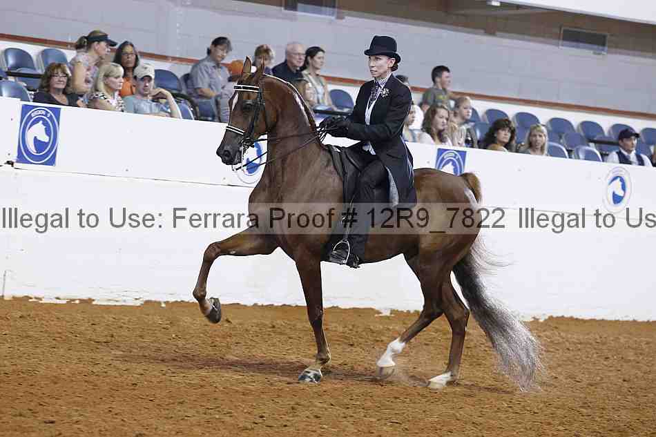 Proof 12r9_7822