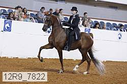 12r9_7822 proof