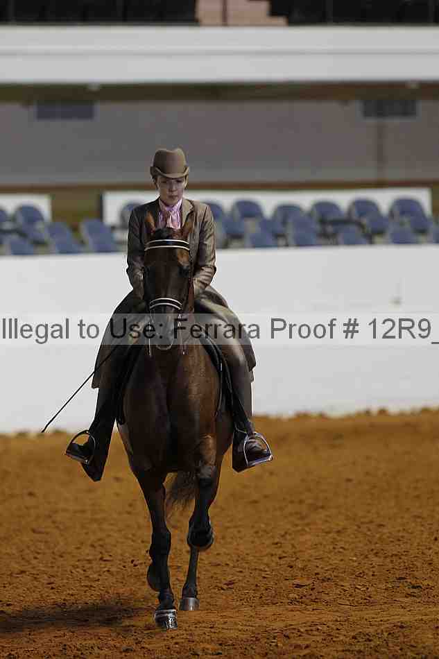 Proof 12r9_7826