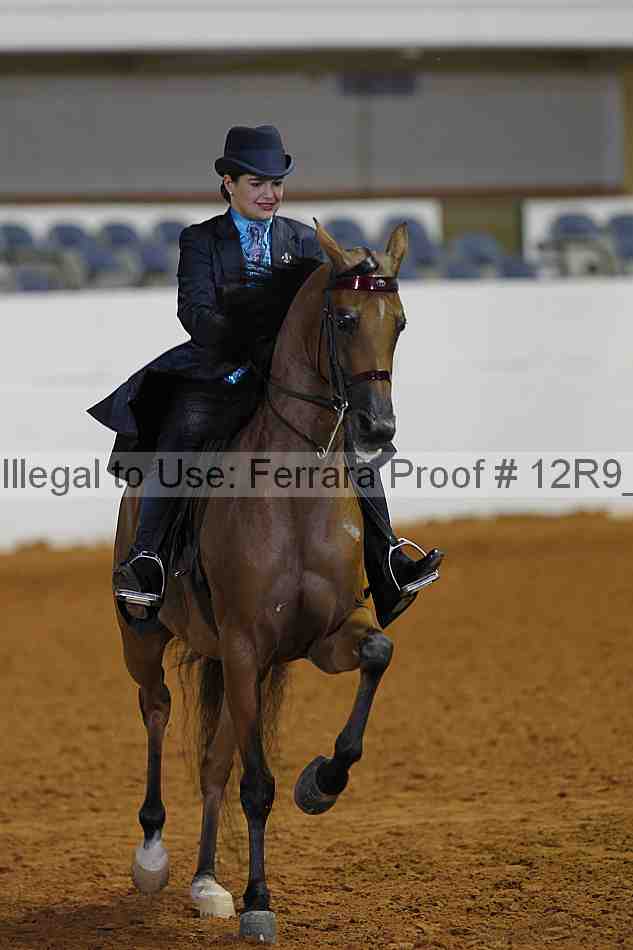 Proof 12r9_7832