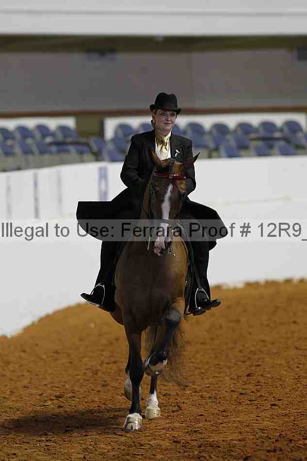 Proof 12r9_7836