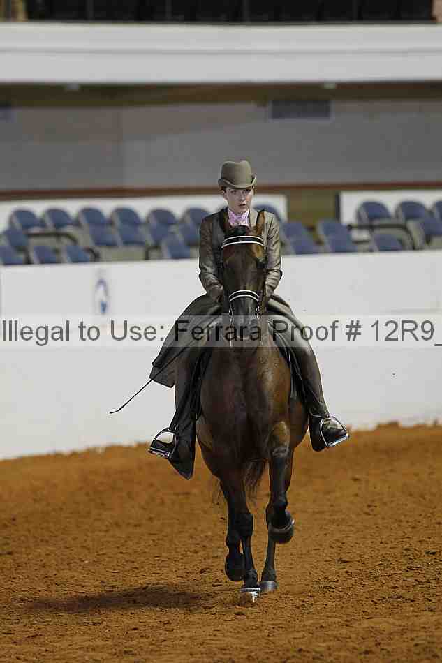 Proof 12r9_7838
