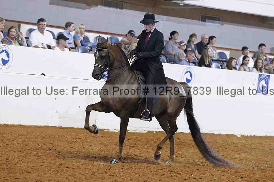 Proof 12r9_7839