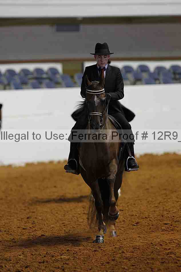 Proof 12r9_7848