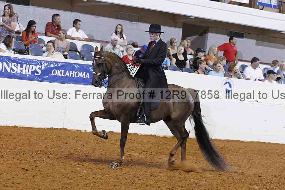 Proof 12r9_7858