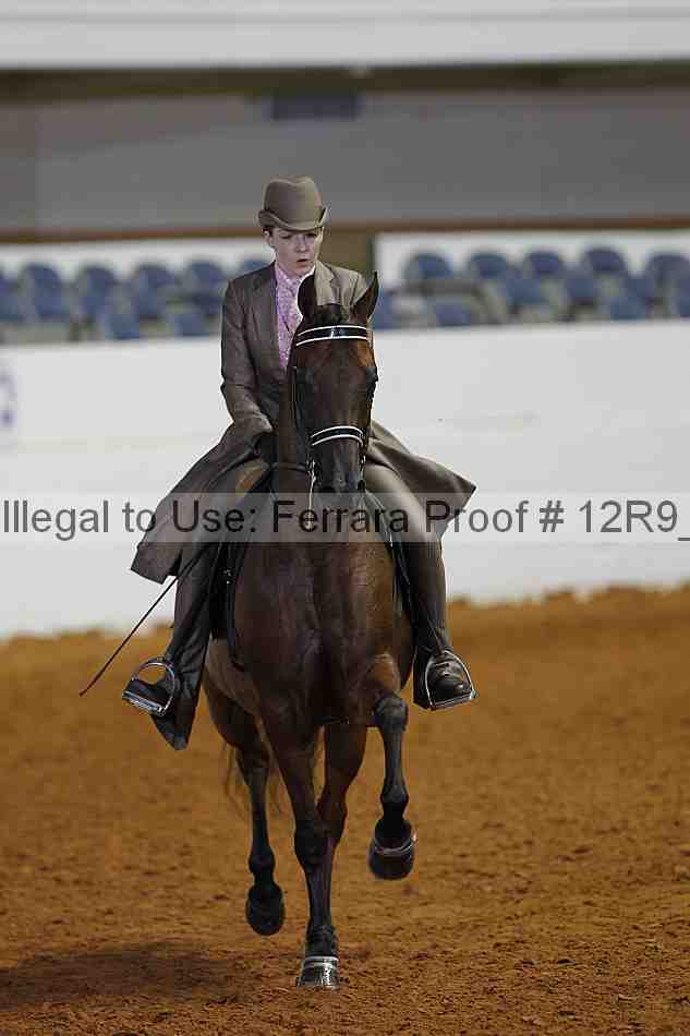 Proof 12r9_7859
