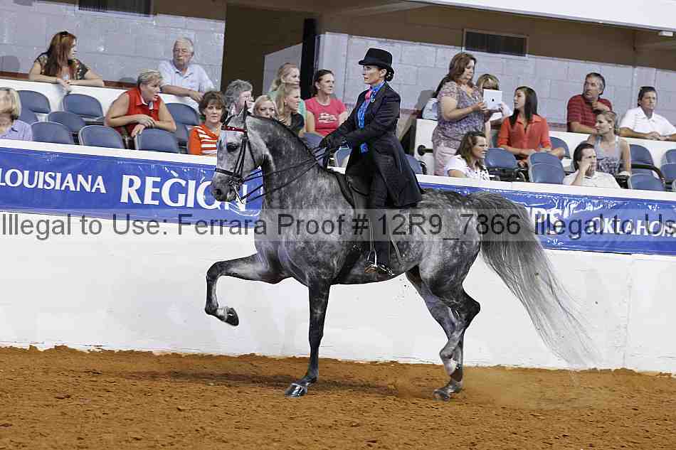 Proof 12r9_7866