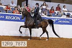 12r9_7873 proof