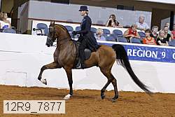 12r9_7877 proof