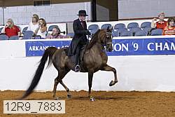 12r9_7883 proof