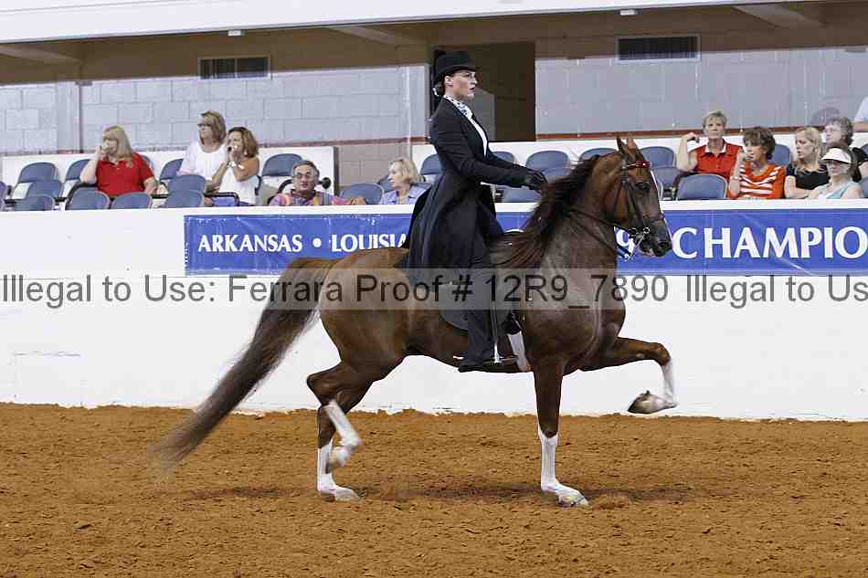 Proof 12r9_7890
