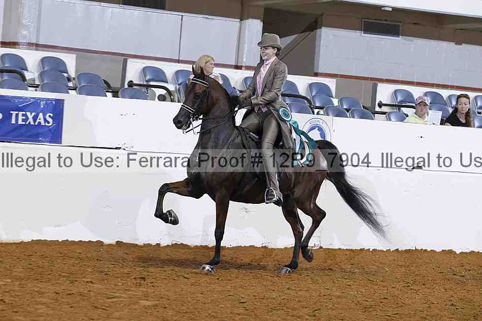 Proof 12r9_7904