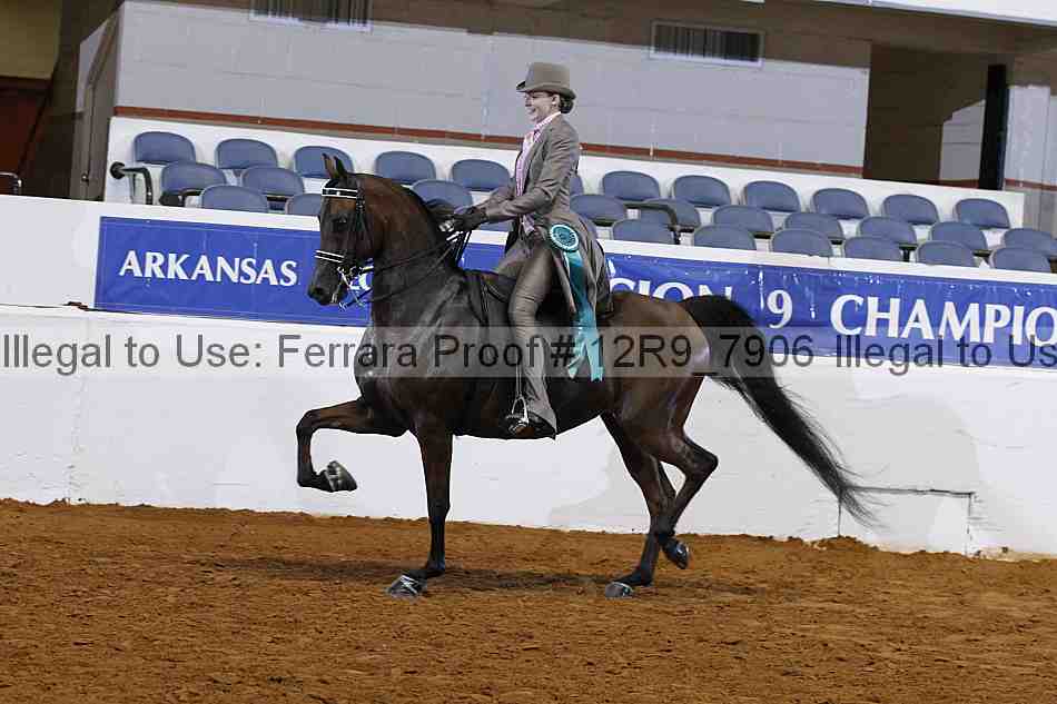 Proof 12r9_7906