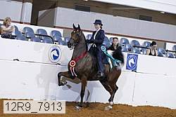 12r9_7913 proof