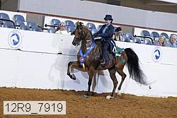 12r9_7919 proof