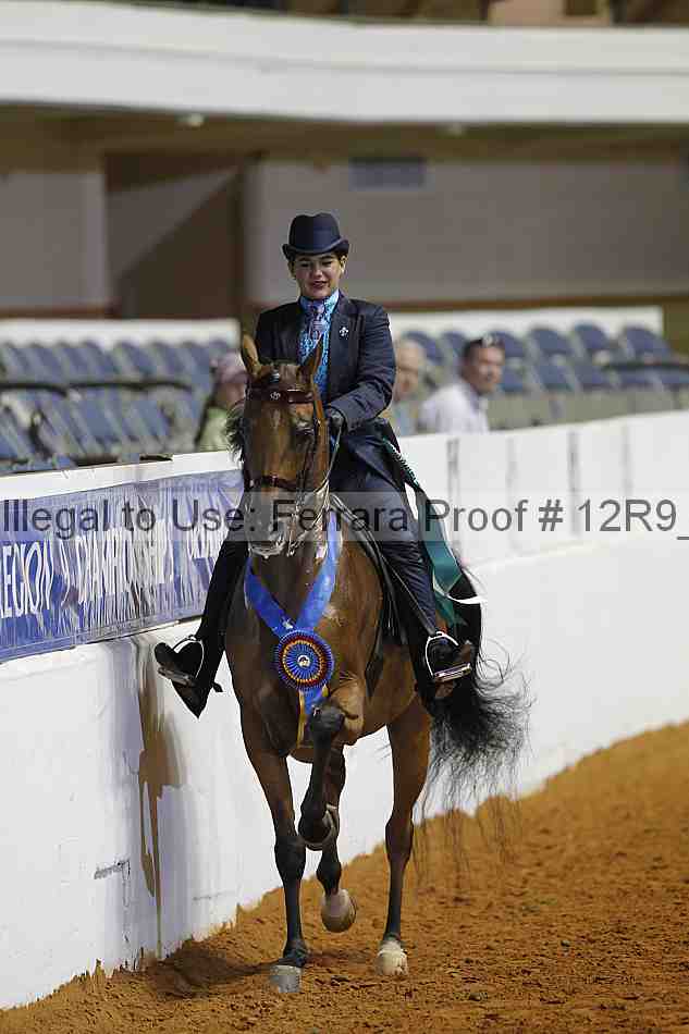 Proof 12r9_7928