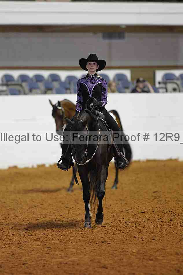 Proof 12r9_7951