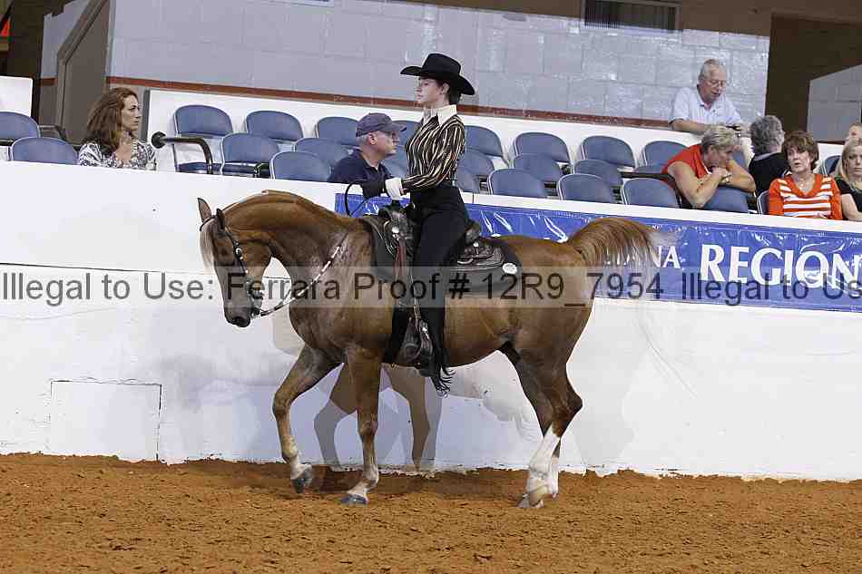 Proof 12r9_7954