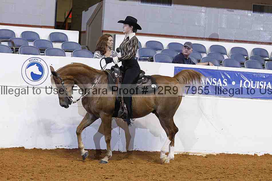 Proof 12r9_7955