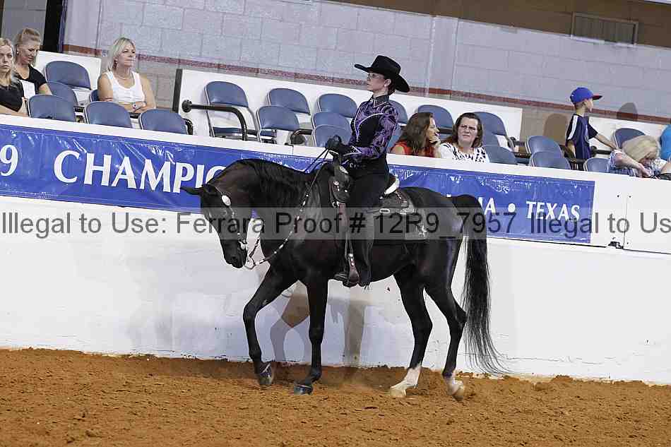 Proof 12r9_7957