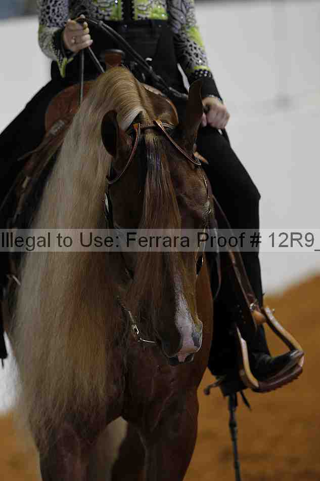 Proof 12r9_7970