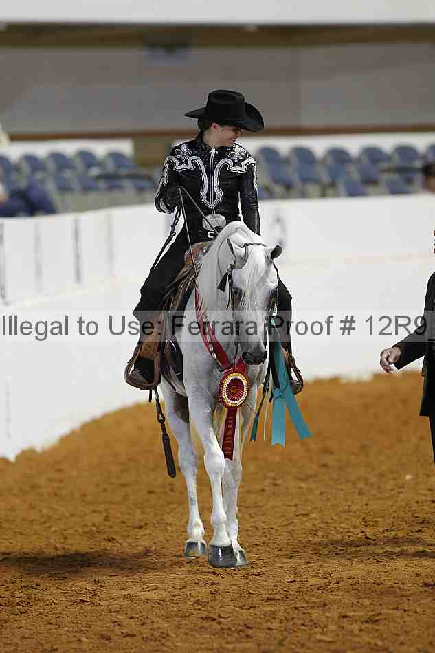 Proof 12r9_7976