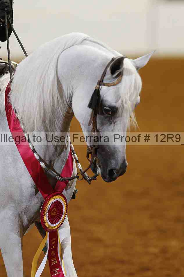 Proof 12r9_7983