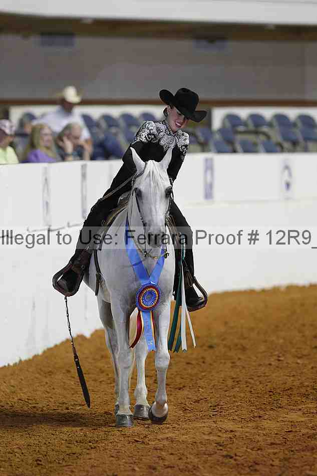 Proof 12r9_7990