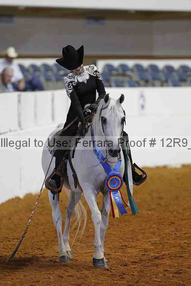 Proof 12r9_7993