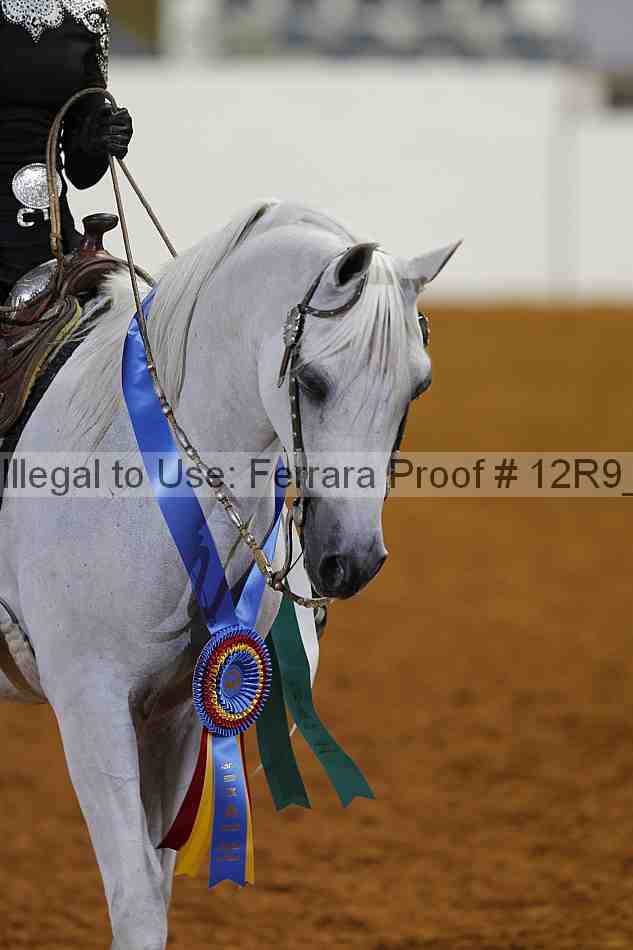 Proof 12r9_7996