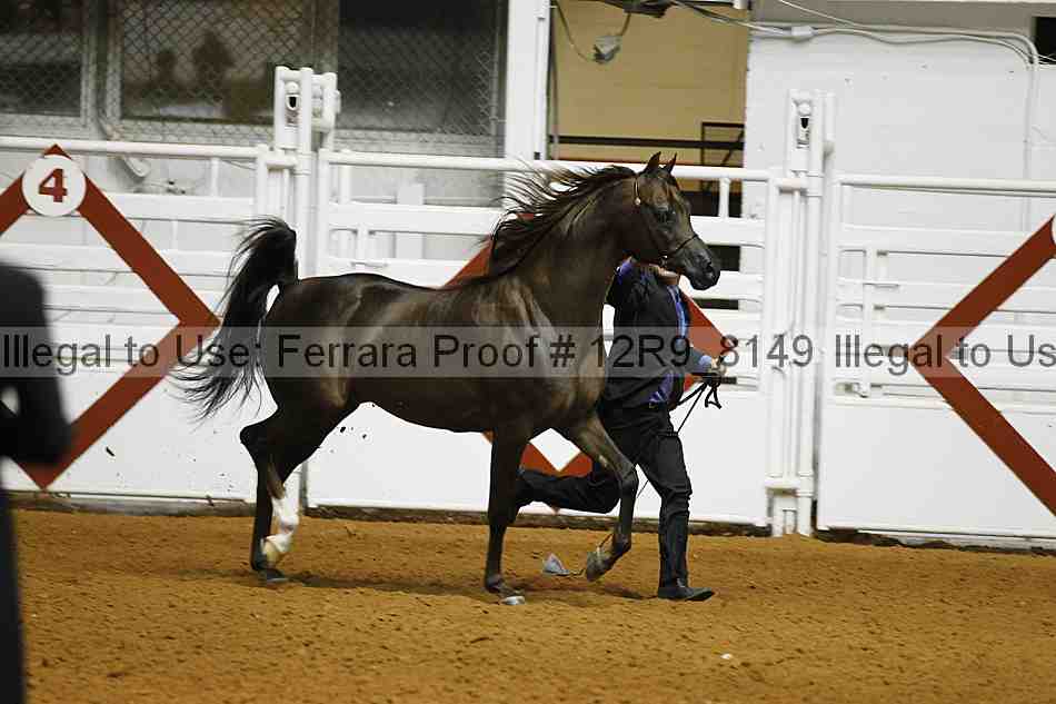 Proof 12r9_8149