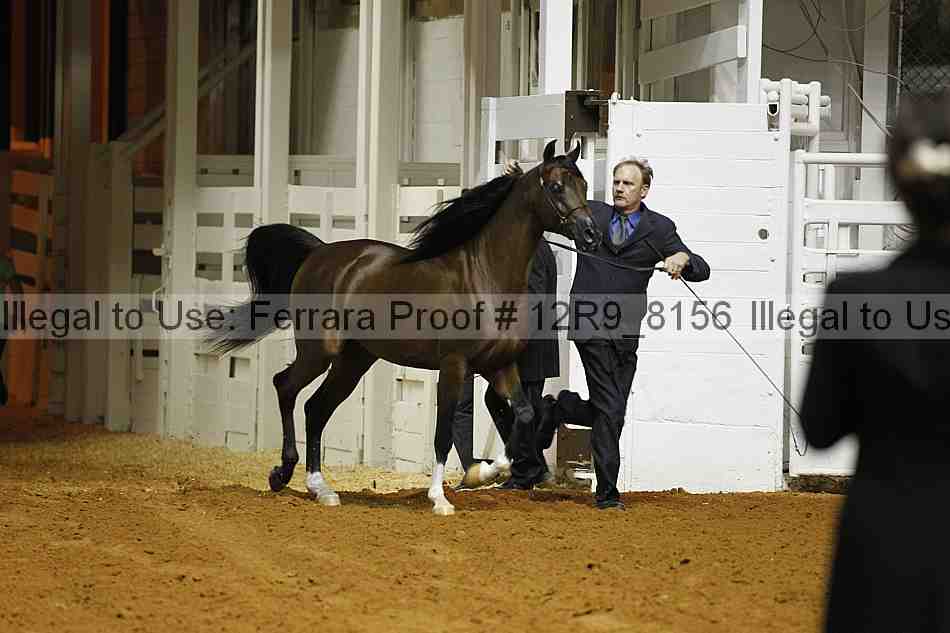 Proof 12r9_8156