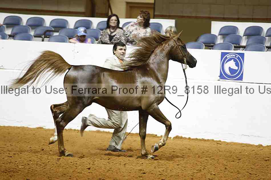Proof 12r9_8158