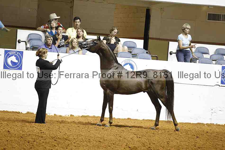 Proof 12r9_8161
