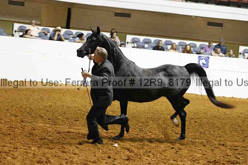 Proof 12r9_8179