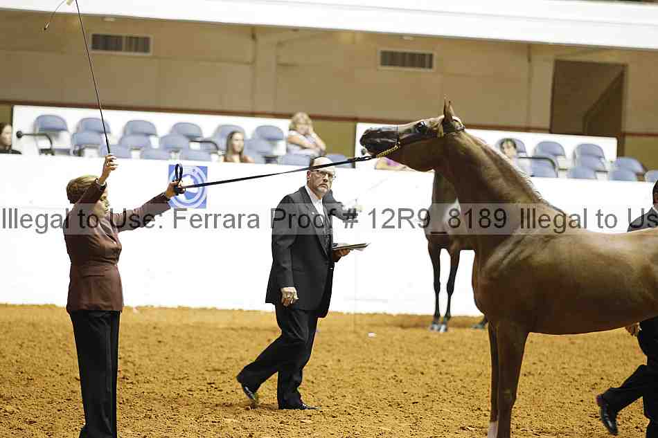 Proof 12r9_8189