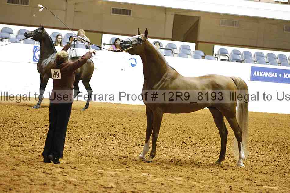 Proof 12r9_8193