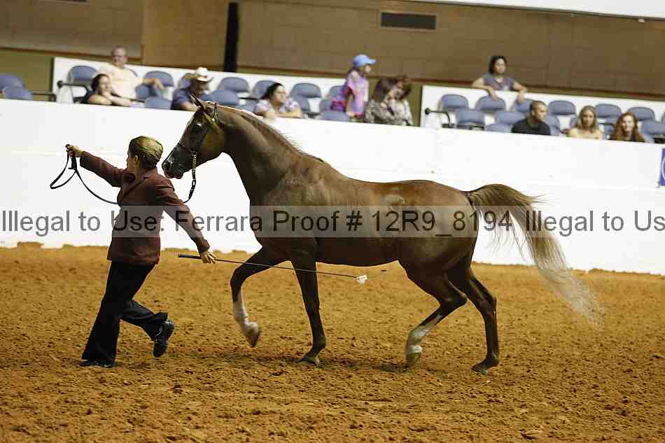 Proof 12r9_8194