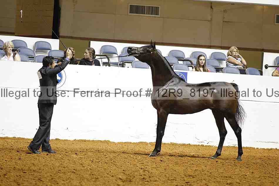 Proof 12r9_8197