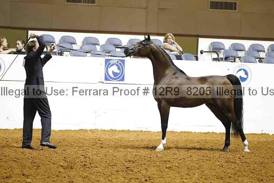 Proof 12r9_8205