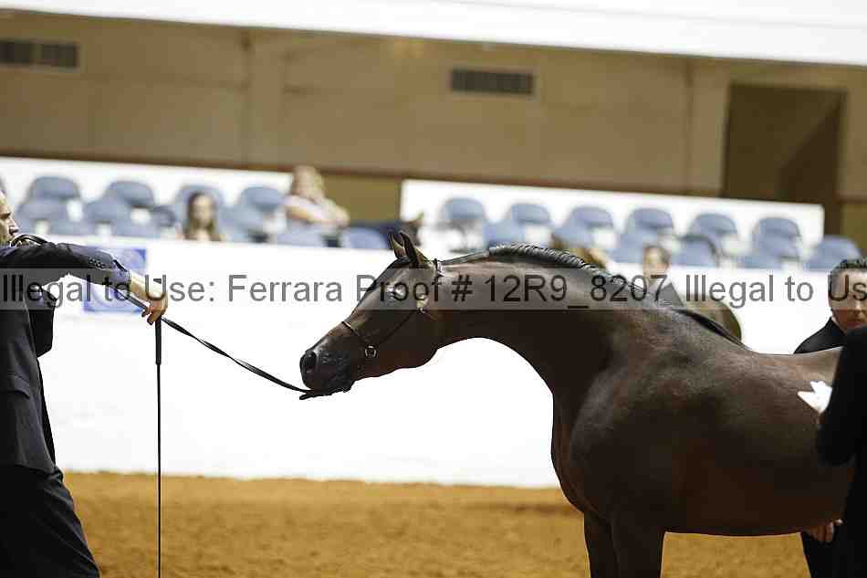Proof 12r9_8207