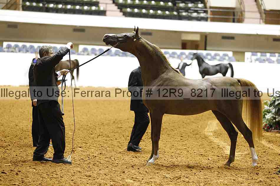 Proof 12r9_8217