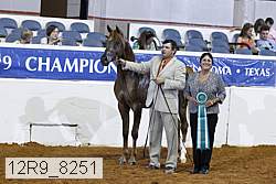 12r9_8251 proof