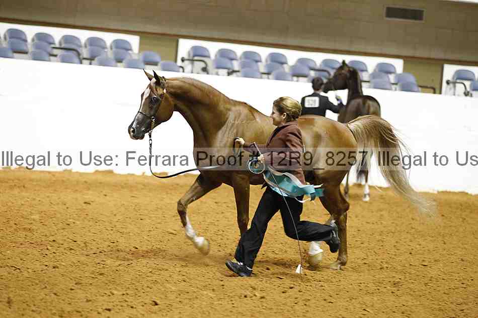 Proof 12r9_8257
