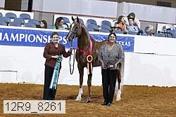 12r9_8261 proof