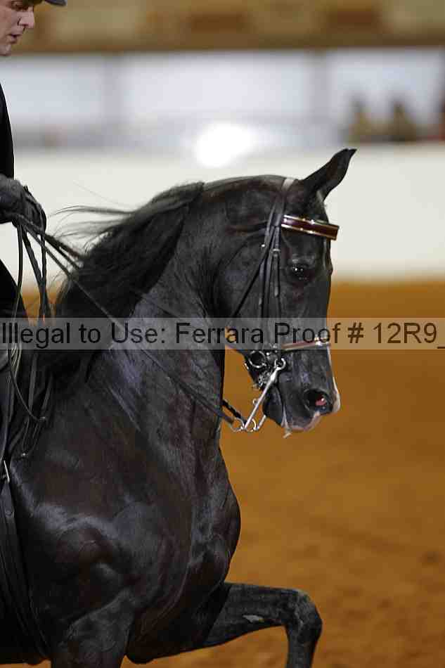 Proof 12r9_8290