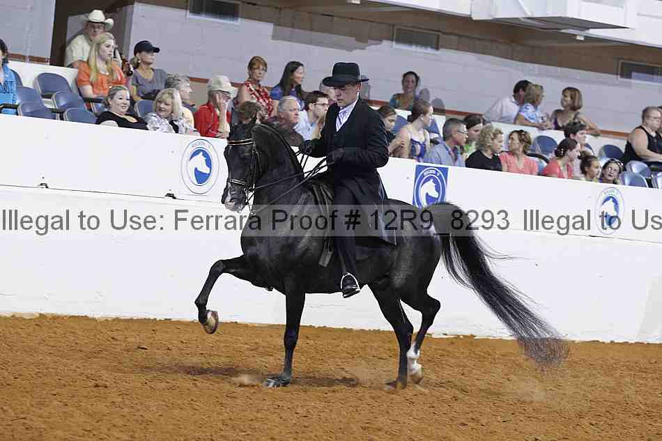 Proof 12r9_8293