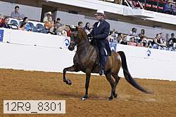 12r9_8301 proof