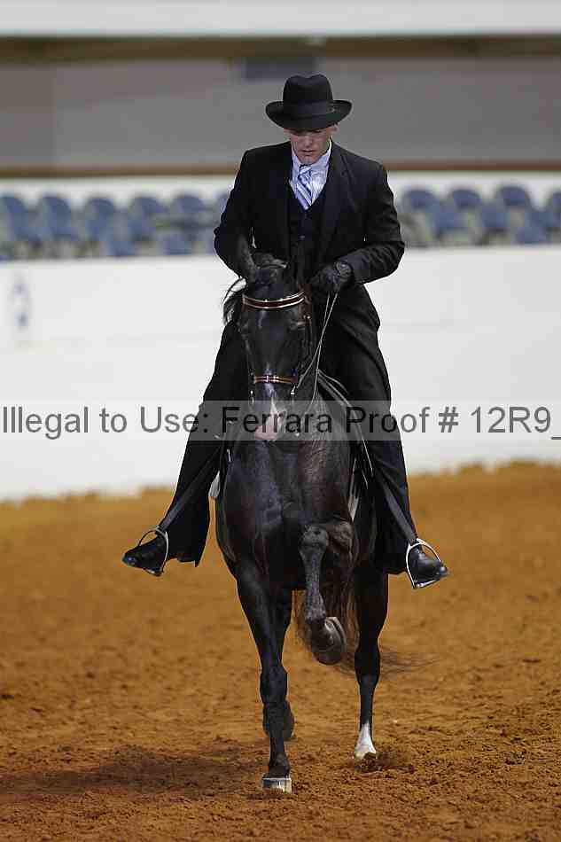 Proof 12r9_8302
