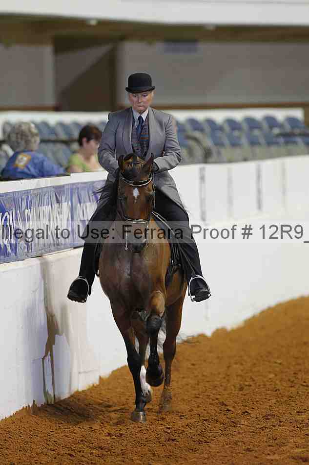 Proof 12r9_8307